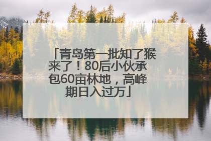 青岛第一批知了猴来了！80后小伙承包60亩林地，高峰期日入过万