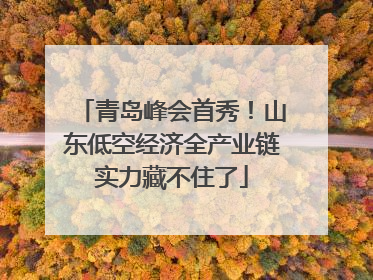 青岛峰会首秀！山东低空经济全产业链实力藏不住了