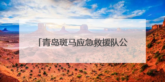 青岛斑马应急救援队公益长跑从未停歇 七载坚守绘就城市温暖底色