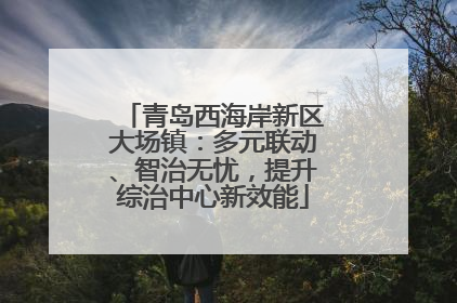 青岛西海岸新区大场镇：多元联动、智治无忧，提升综治中心新效能