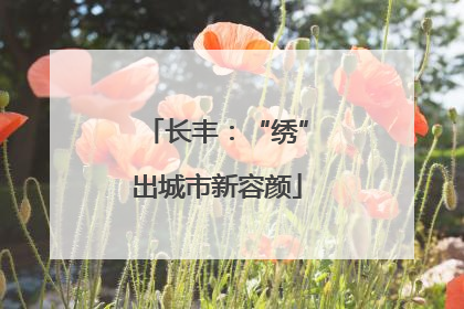 长丰：“绣”出城市新容颜