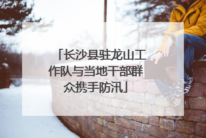 长沙县驻龙山工作队与当地干部群众携手防汛