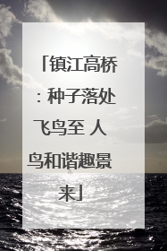 镇江高桥：种子落处飞鸟至 人鸟和谐趣景来