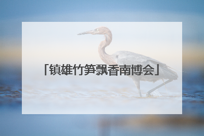 镇雄竹笋飘香南博会