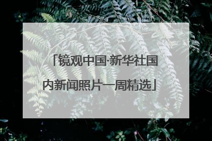 镜观中国·新华社国内新闻照片一周精选