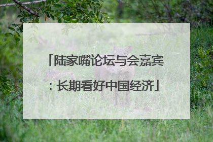 陆家嘴论坛与会嘉宾：长期看好中国经济