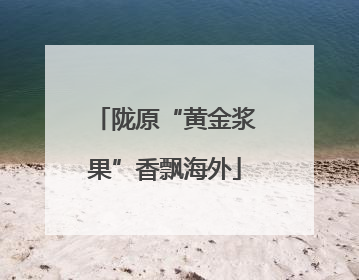 陇原“黄金浆果”香飘海外