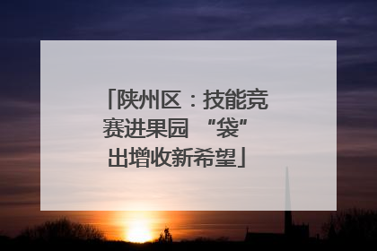陕州区：技能竞赛进果园 “袋”出增收新希望