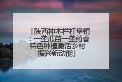 陕西神木栏杆堡镇：一垄瓜苗一垄药香 特色种植激活乡村振兴新动能