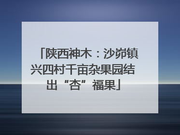 陕西神木：沙峁镇兴四村千亩杂果园结出“杏”福果