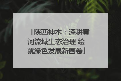 陕西神木：深耕黄河流域生态治理 绘就绿色发展新画卷