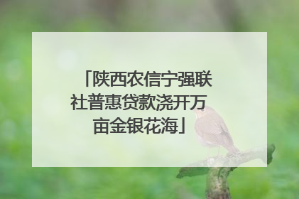 陕西农信宁强联社普惠贷款浇开万亩金银花海