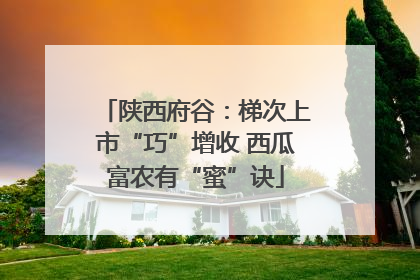 陕西府谷：梯次上市“巧”增收 西瓜富农有“蜜”诀