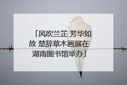 风吹兰芷 芳华如故 楚辞草木画展在湖南图书馆举办