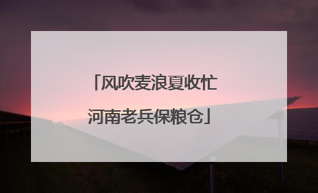 风吹麦浪夏收忙 河南老兵保粮仓
