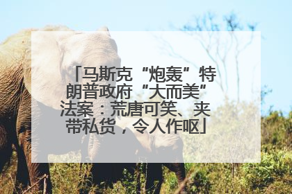 马斯克“炮轰”特朗普政府“大而美”法案：荒唐可笑、夹带私货，令人作呕