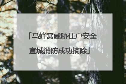马蜂窝威胁住户安全 宣城消防成功摘除