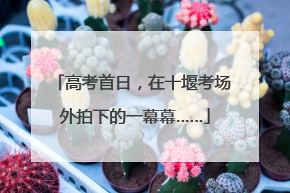 高考首日，在十堰考场外拍下的一幕幕……