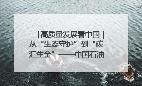 高质量发展看中国｜从“生态守护”到“碳汇生金”——中国石油大庆油田绿色蝶变