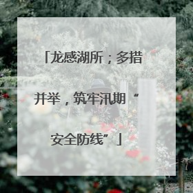 龙感湖所；多措并举，筑牢汛期“安全防线”
