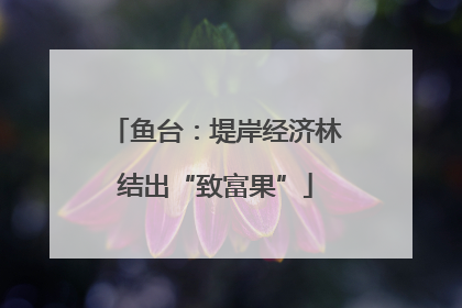 鱼台：堤岸经济林结出“致富果”