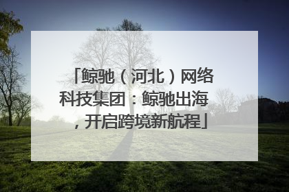 鲸驰（河北）网络科技集团：鲸驰出海，开启跨境新航程