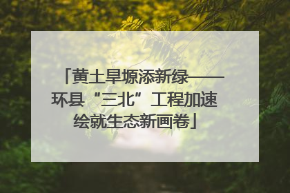 黄土旱塬添新绿——环县“三北”工程加速绘就生态新画卷