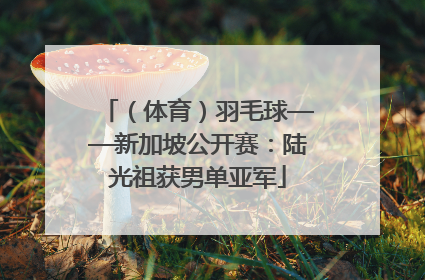 （体育）羽毛球——新加坡公开赛：陆光祖获男单亚军