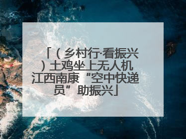 （乡村行·看振兴）土鸡坐上无人机 江西南康“空中快递员”助振兴