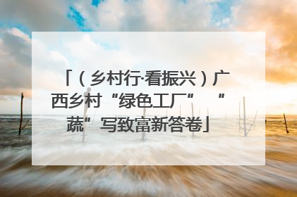 （乡村行·看振兴）广西乡村“绿色工厂” “蔬”写致富新答卷