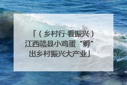 （乡村行·看振兴）江西赣县小鸡蛋“孵”出乡村振兴大产业