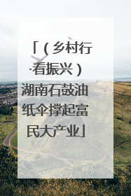 （乡村行·看振兴）湖南石鼓油纸伞撑起富民大产业