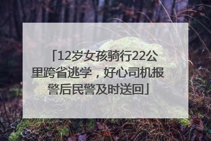 12岁女孩骑行22公里跨省逃学，好心司机报警后民警及时送回