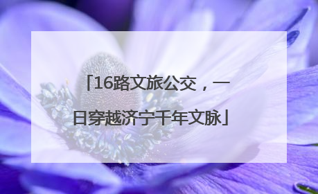 16路文旅公交，一日穿越济宁千年文脉
