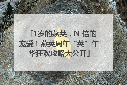 1岁的燕荚，N 倍的宠爱！燕荚周年“荚”年华狂欢攻略大公开