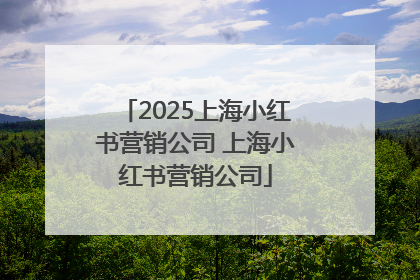 2025上海小红书营销公司 上海小红书营销公司