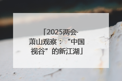 2025两会·萧山观察：“中国视谷”的新江湖