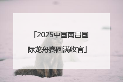 2025中国南昌国际龙舟赛圆满收官