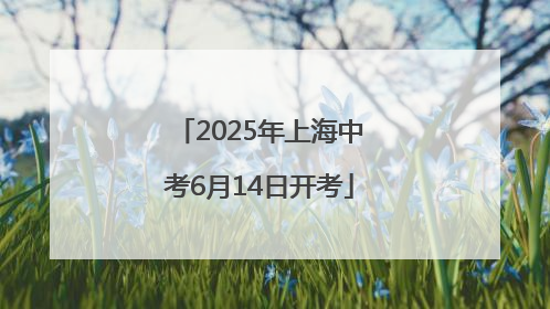 2025年上海中考6月14日开考