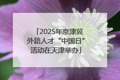 2025年京津冀外籍人才“中国日”活动在天津举办