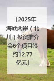 2025年海峡两岸（北川）投资推介会6个项目签约12.77亿元