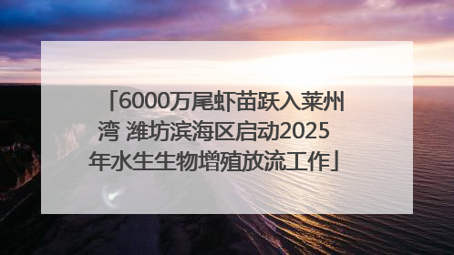 6000万尾虾苗跃入莱州湾 潍坊滨海区启动2025年水生生物增殖放流工作