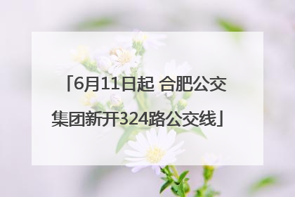 6月11日起 合肥公交集团新开324路公交线
