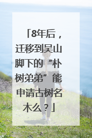 8年后，迁移到吴山脚下的“朴树弟弟”能申请古树名木么？