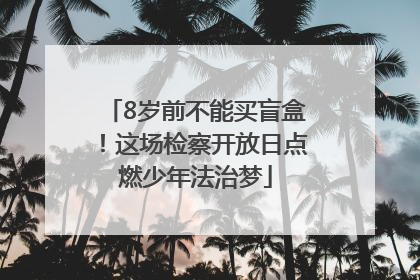 8岁前不能买盲盒！这场检察开放日点燃少年法治梦