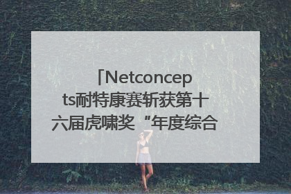 Netconcepts耐特康赛斩获第十六届虎啸奖“年度综合服务商”大奖