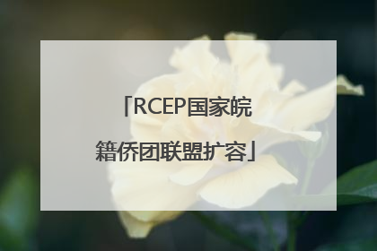 RCEP国家皖籍侨团联盟扩容